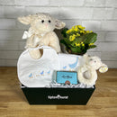 Baby Boy Bundle of Joy Basket