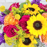 Designer's Choice Arrangement - Bold & Bright