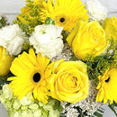 Designer's Choice Arrangement - Yellows