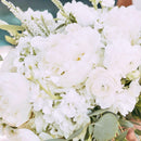 Designer's Choice Arrangement - Whites